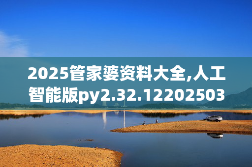 2025管家婆资料大全,人工智能版py2.32.1220250330更新