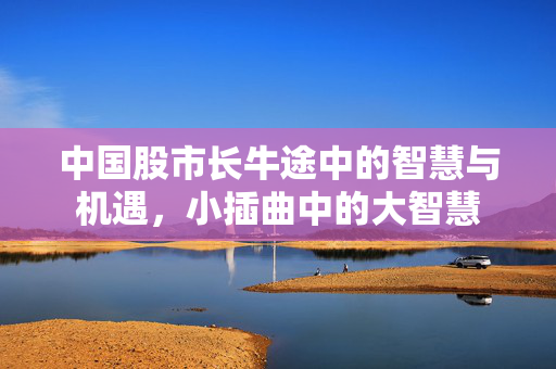中国股市长牛途中的智慧与机遇，小插曲中的大智慧