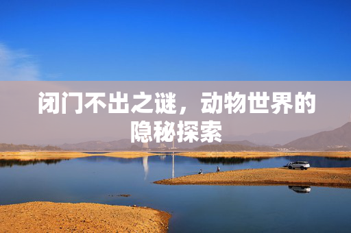 闭门不出之谜，动物世界的隐秘探索