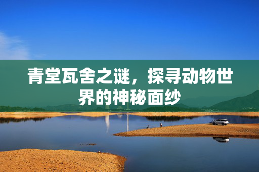 青堂瓦舍之谜，探寻动物世界的神秘面纱