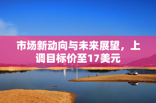 市场新动向与未来展望，上调目标价至17美元