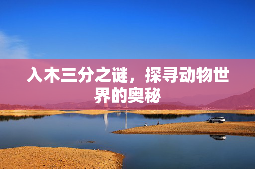 入木三分之谜，探寻动物世界的奥秘