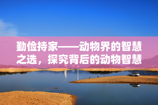 勤俭持家——动物界的智慧之选，探究背后的动物智慧与人类学习之道。