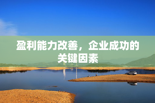 盈利能力改善，企业成功的关键因素