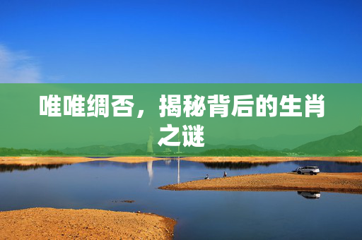 唯唯绸否，揭秘背后的生肖之谜