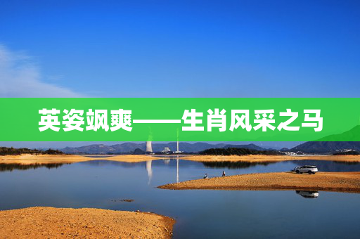 英姿飒爽——生肖风采之马