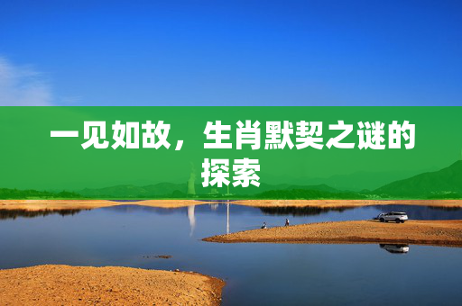一见如故，生肖默契之谜的探索