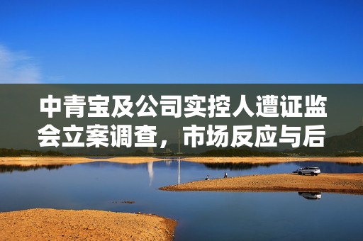 中青宝及公司实控人遭证监会立案调查，市场反应与后续影响探究