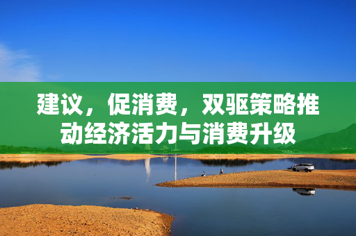 建议，促消费，双驱策略推动经济活力与消费升级