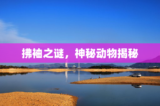 拂袖之谜，神秘动物揭秘