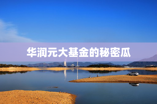 华润元大基金的秘密瓜