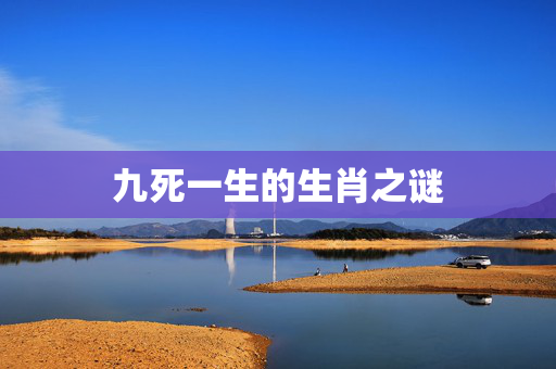 九死一生的生肖之谜