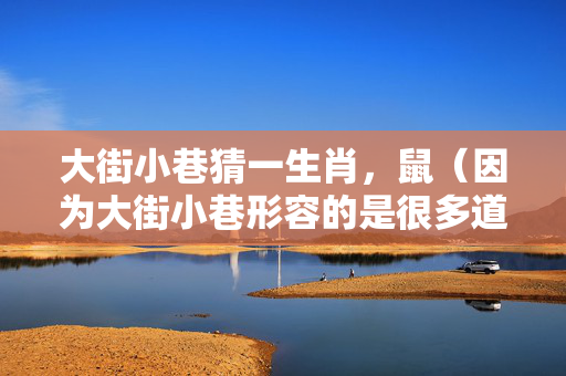 大街小巷猜一生肖，鼠（因为大街小巷形容的是很多道路和空间，而鼠在十二生肖中是代表灵活穿梭于各种空间的动物）。