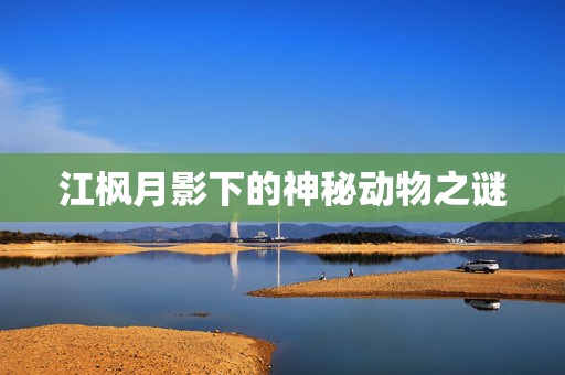 江枫月影下的神秘动物之谜