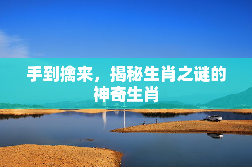 手到擒来，揭秘生肖之谜的神奇生肖