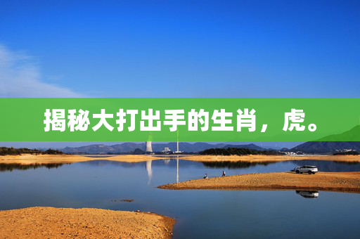 揭秘大打出手的生肖，虎。