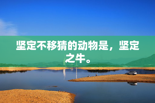 坚定不移猜的动物是，坚定之牛。