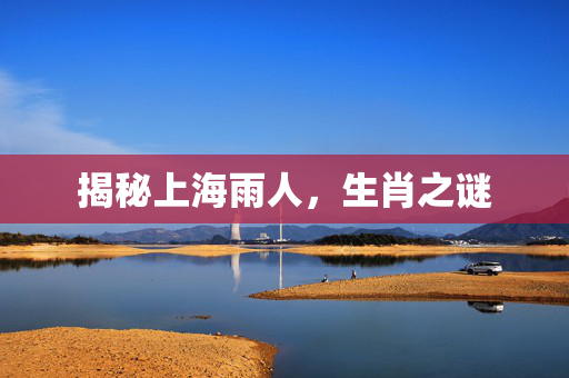 揭秘上海雨人，生肖之谜