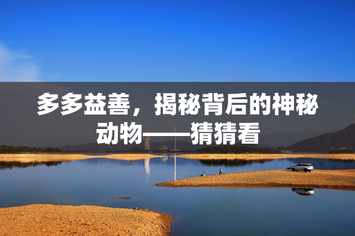 多多益善，揭秘背后的神秘动物——猜猜看
