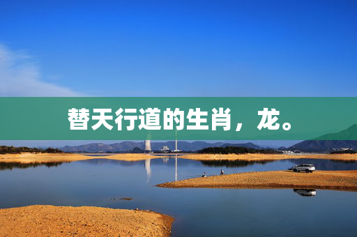替天行道的生肖，龙。
