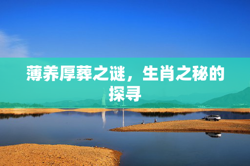 薄养厚葬之谜，生肖之秘的探寻