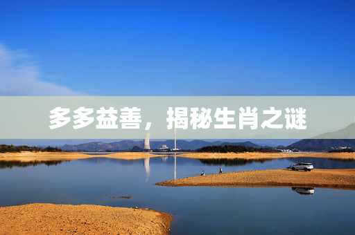 多多益善，揭秘生肖之谜
