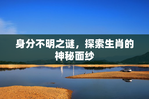 身分不明之谜，探索生肖的神秘面纱