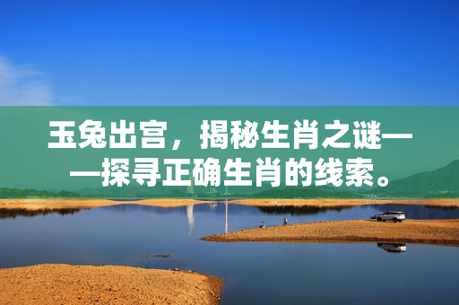 玉兔出宫，揭秘生肖之谜——探寻正确生肖的线索。