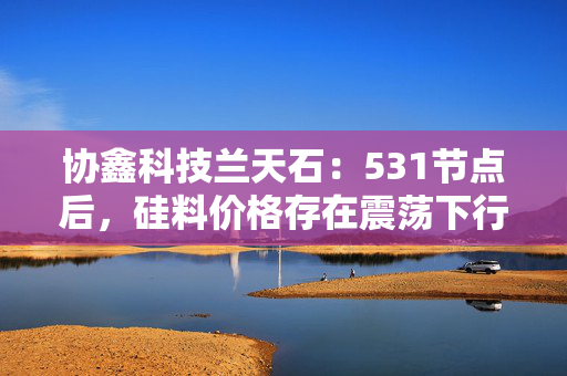 协鑫科技兰天石：531节点后，硅料价格存在震荡下行的可能