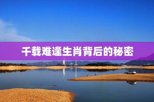 千载难逢生肖背后的秘密