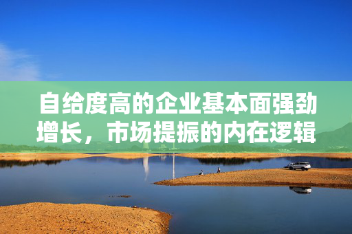自给度高的企业基本面强劲增长，市场提振的内在逻辑