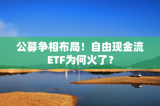 公募争相布局！自由现金流ETF为何火了？