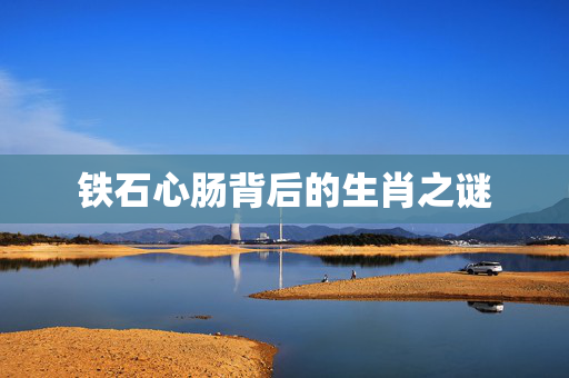 铁石心肠背后的生肖之谜
