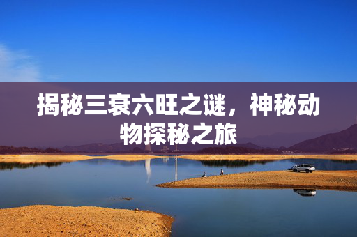 揭秘三衰六旺之谜，神秘动物探秘之旅