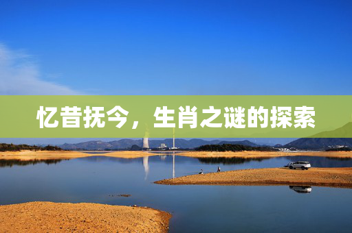 忆昔抚今，生肖之谜的探索