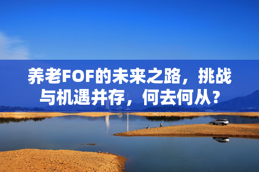 养老FOF的未来之路，挑战与机遇并存，何去何从？