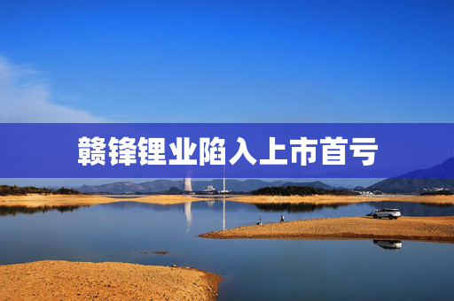 赣锋锂业陷入上市首亏
