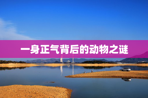 一身正气背后的动物之谜