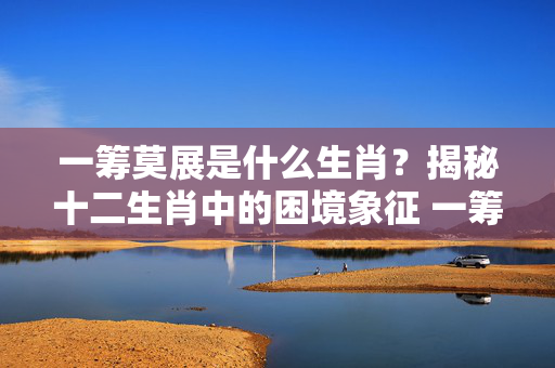一筹莫展是什么生肖？揭秘十二生肖中的困境象征 一筹莫展是什么生肖