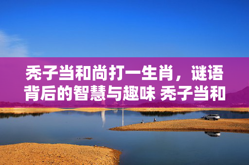 秃子当和尚打一生肖，谜语背后的智慧与趣味 秃子当和尚打一生肖