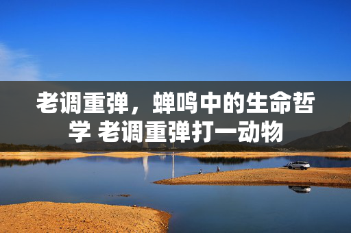 老调重弹，蝉鸣中的生命哲学 老调重弹打一动物