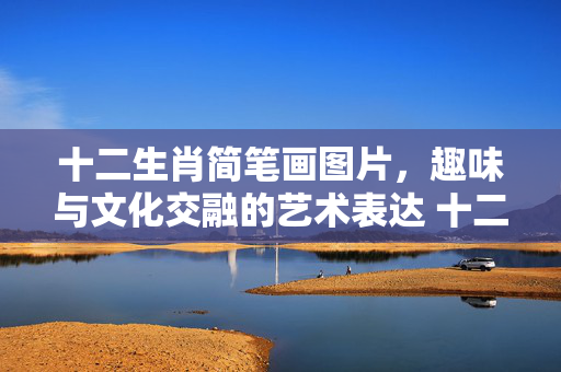 十二生肖简笔画图片，趣味与文化交融的艺术表达 十二生肖的简笔画图片