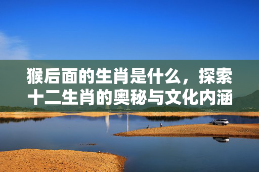 猴后面的生肖是什么，探索十二生肖的奥秘与文化内涵 猴后面的生肖是什么