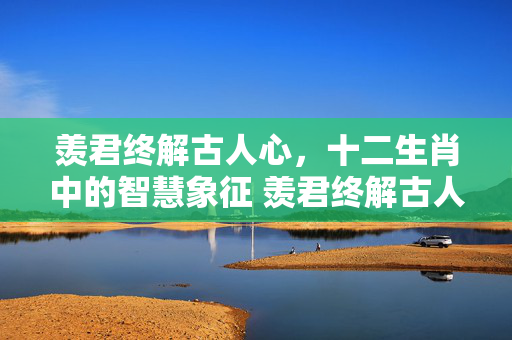 羡君终解古人心，十二生肖中的智慧象征 羡君终解古人心打一正确生肖