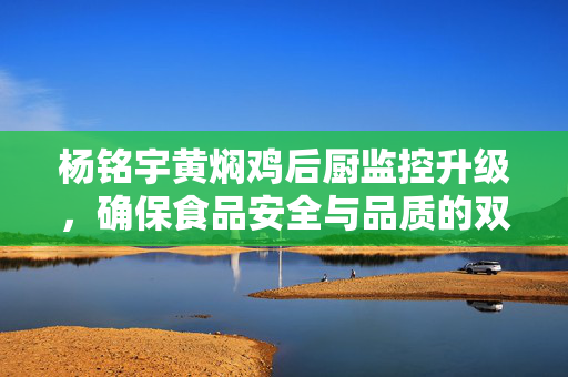杨铭宇黄焖鸡后厨监控升级，确保食品安全与品质的双重保障