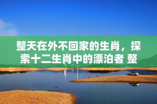整天在外不回家的生肖，探索十二生肖中的漂泊者 整天在外不回家的生肖