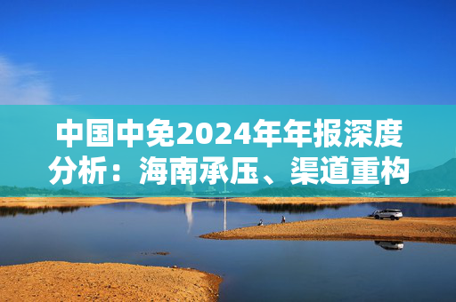 中国中免2024年年报深度分析：海南承压、渠道重构与国际化破局