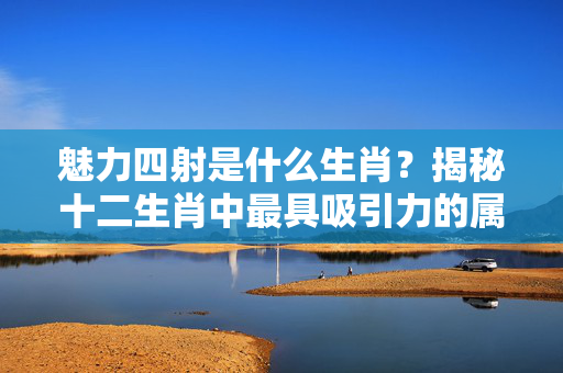 魅力四射是什么生肖？揭秘十二生肖中最具吸引力的属相 魅力四射是什么生肖