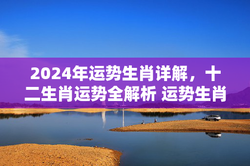 2024年运势生肖详解，十二生肖运势全解析 运势生肖讲解