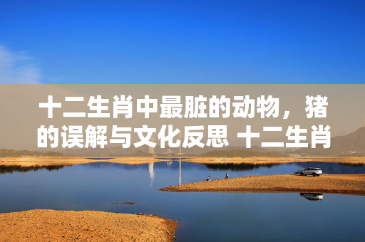 十二生肖中最脏的动物，猪的误解与文化反思 十二生肖最脏的动物